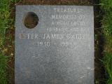 image of grave number 222445